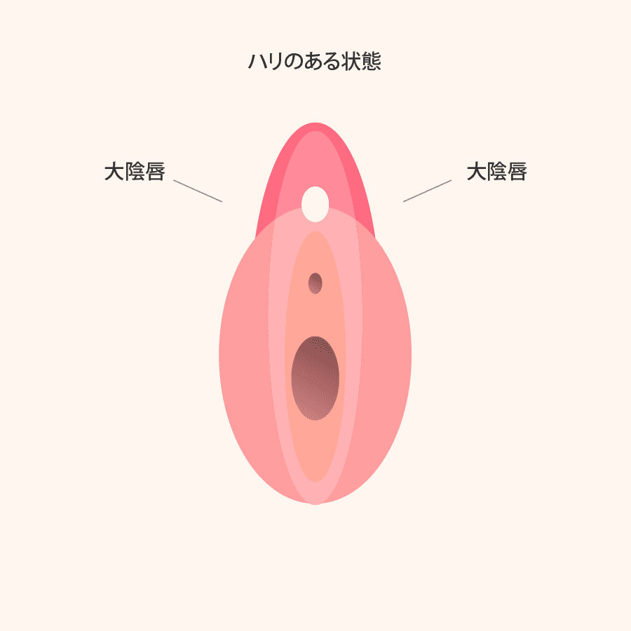 解説イラスト