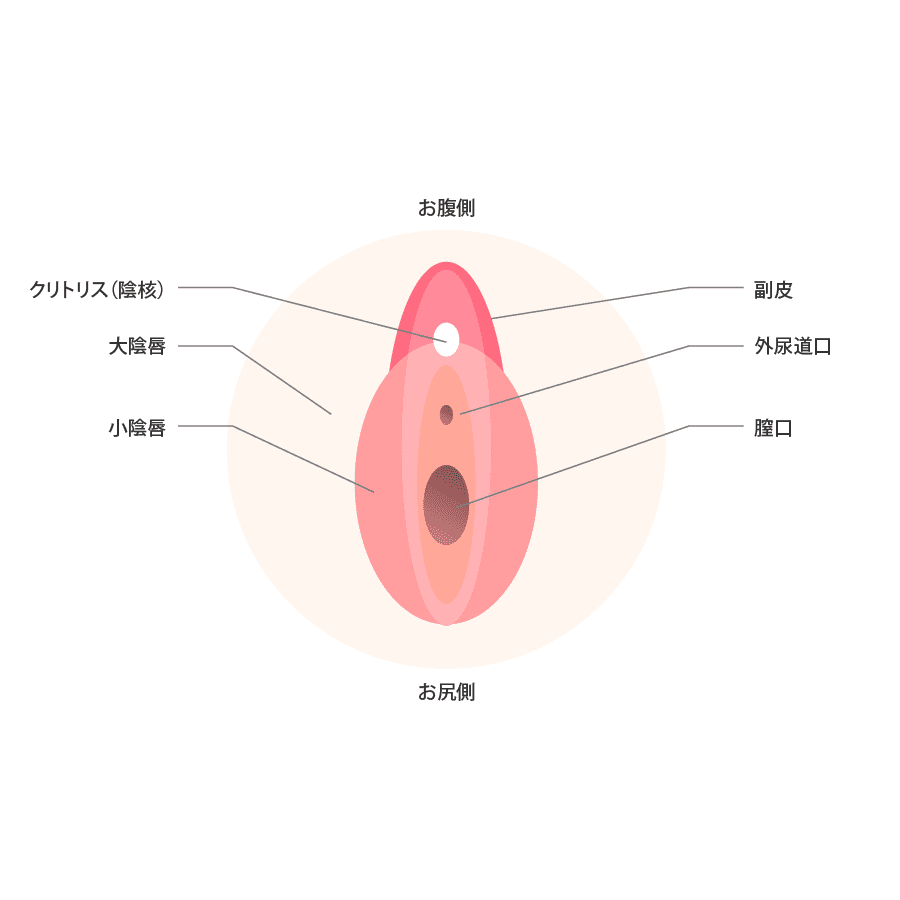 解説イラスト