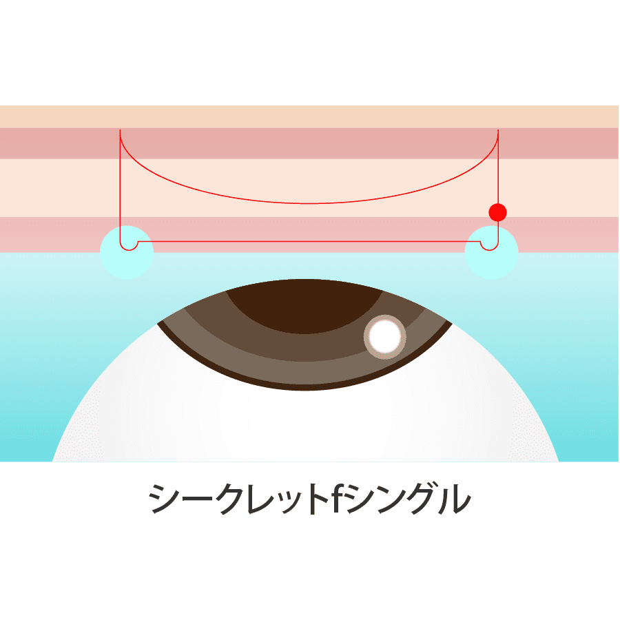 解説イラスト